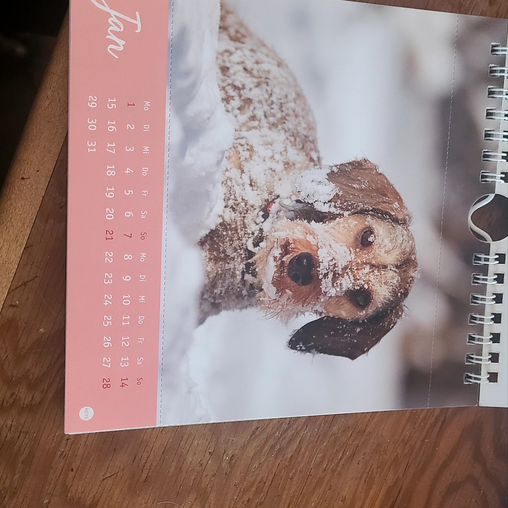 2024 German calendar with Dackels